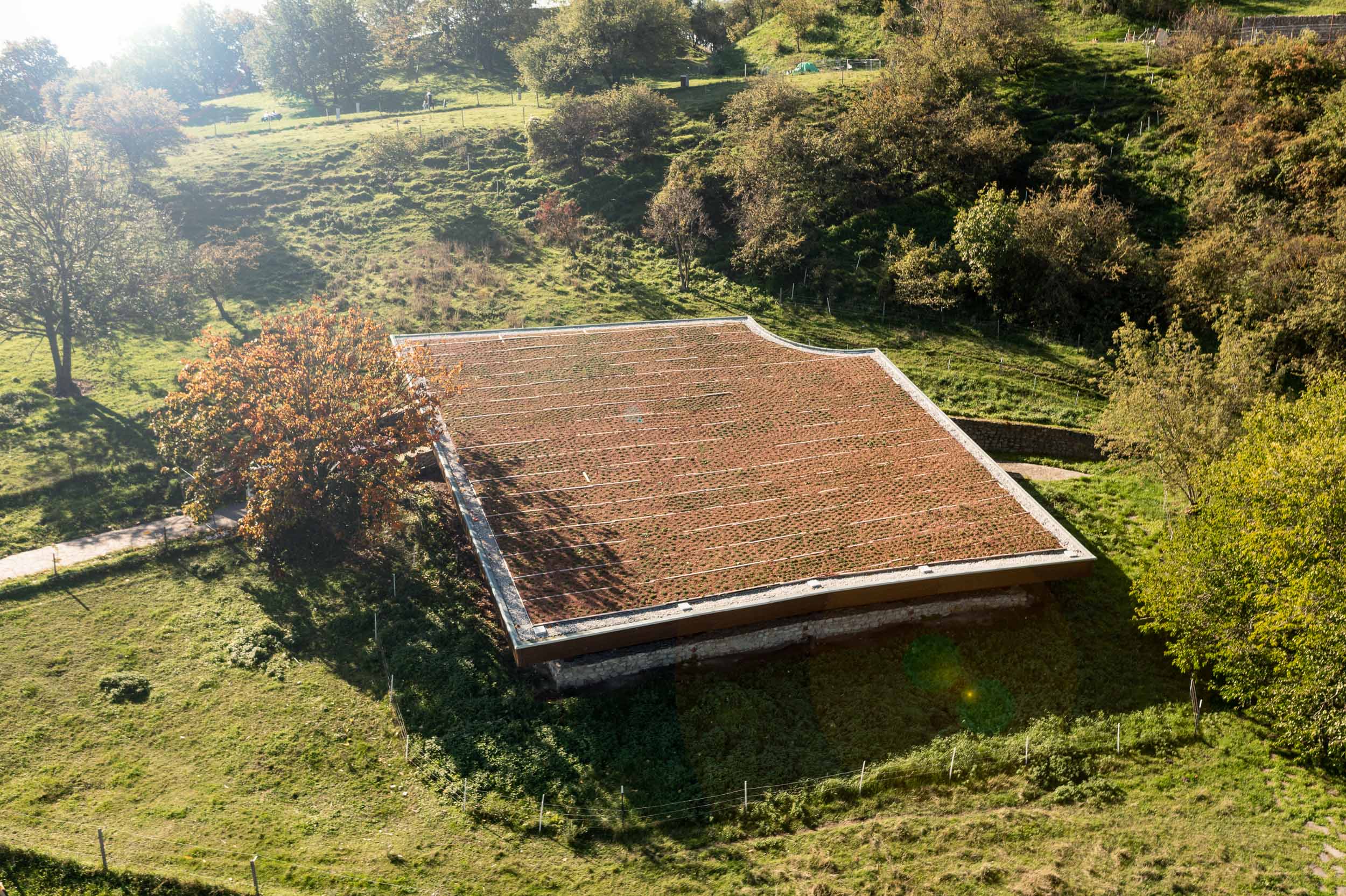 Zelená strecha drevenej konštrukcie výstavného pavilónu.