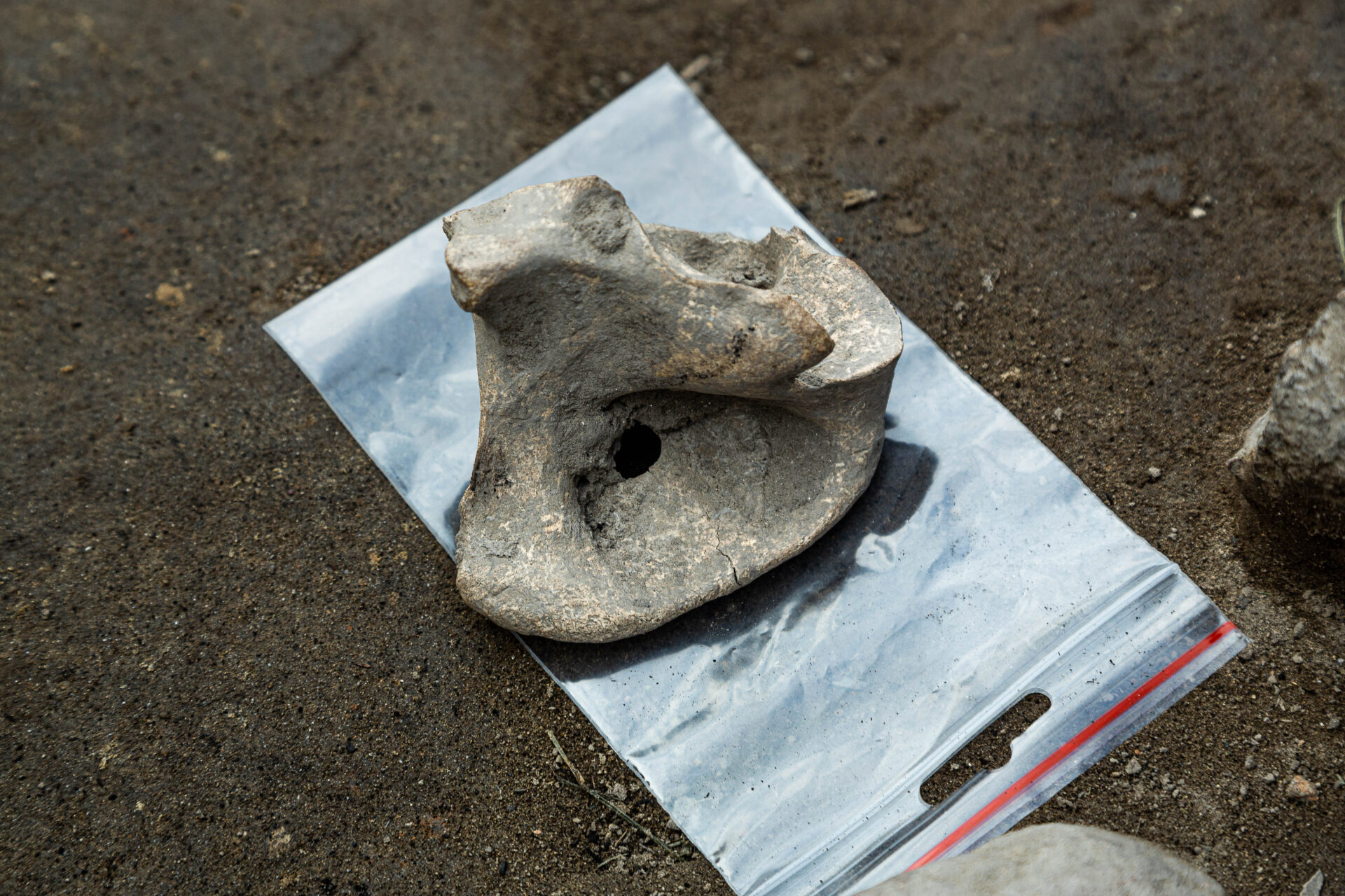 Archeologické nálezy na hrade Devín.